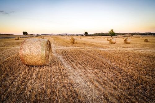 Exploring Sustainable Agriculture