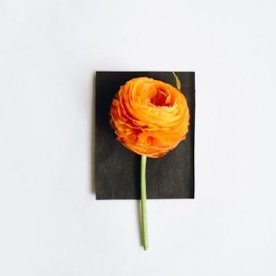 Crafting a Meaningful Daily Routine